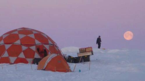 研究人员绘制了格陵兰冰盖运动的更详细图片