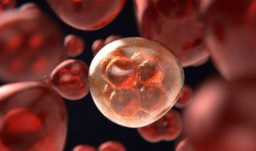 科学家鉴定出对肿瘤细胞代谢和免疫逃避至关重要的蛋白质