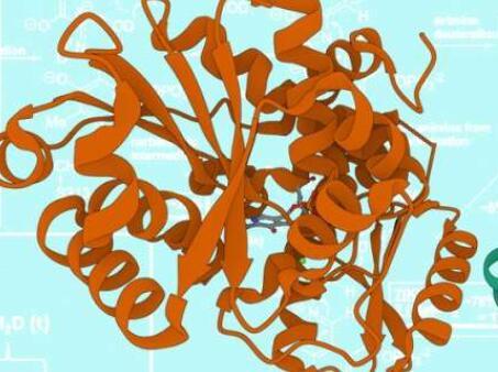 新技术探测与阿尔茨海默氏症和癌症有关的酶的化学性质
