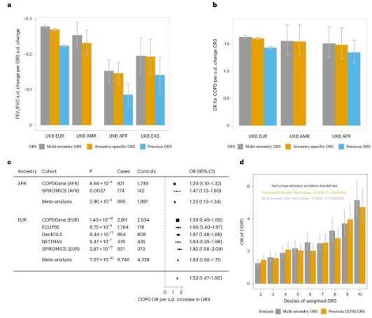 在同类研究中规模最大的研究中发现了COPD的新遗传关联