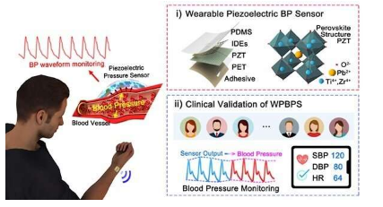 用于连续健康监测的高灵敏度 可穿戴压电血压传感器
