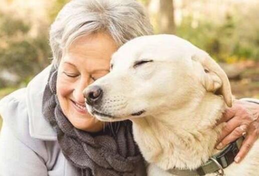 FDA批准首个单克隆抗体治疗狗关节炎