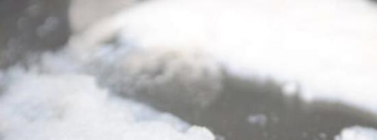 硅施肥可提高小麦产量和水分供应