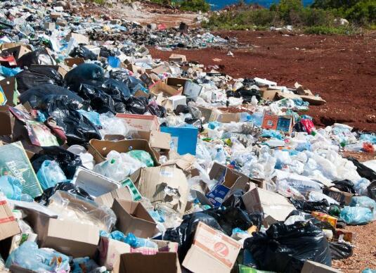 在极地地区发现的微生物为减少塑料废物带来了希望