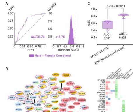 机器学习程序揭示了导致阿尔茨海默病进展中性别特异性差异的基因