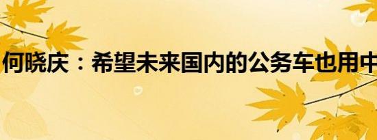 何晓庆：希望未来国内的公务车也用中国品牌