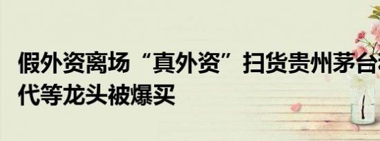 假外资离场“真外资”扫货贵州茅台和宁德时代等龙头被爆买