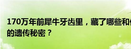 170万年前犀牛牙齿里，藏了哪些和你我有关的遗传秘密？