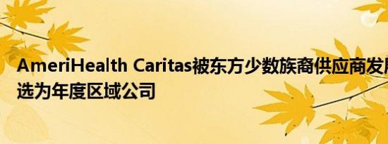 AmeriHealth Caritas被东方少数族裔供应商发展委员会评选为年度区域公司