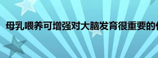 母乳喂养可增强对大脑发育很重要的代谢物