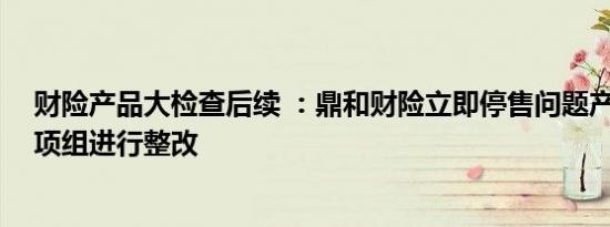 财险产品大检查后续 ：鼎和财险立即停售问题产品 成立专项组进行整改