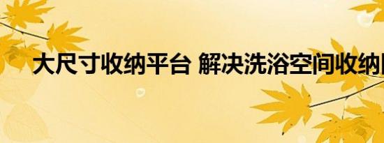 大尺寸收纳平台 解决洗浴空间收纳困扰