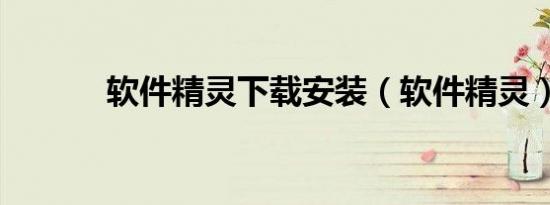 软件精灵下载安装（软件精灵）