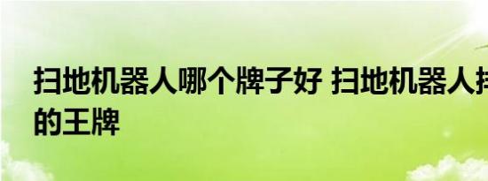 扫地机器人哪个牌子好 扫地机器人排行榜中的王牌