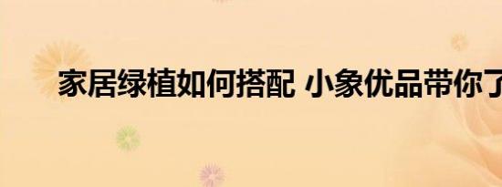 家居绿植如何搭配 小象优品带你了解