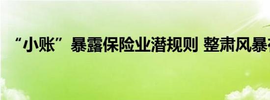 “小账”暴露保险业潜规则 整肃风暴在升级