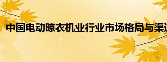 中国电动晾衣机业行业市场格局与渠道分布