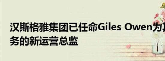 汉斯格雅集团已任命Giles Owen为其英国业务的新运营总监