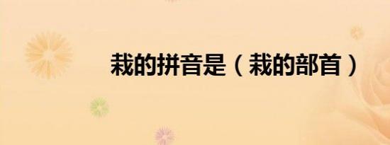 栽的拼音是（栽的部首）