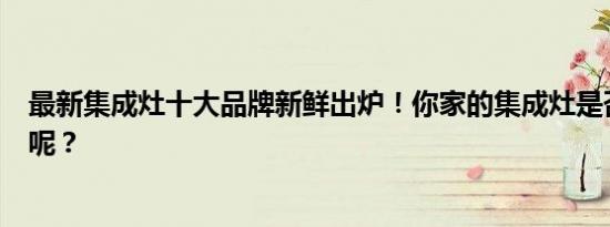 最新集成灶十大品牌新鲜出炉！你家的集成灶是否榜上有名呢？