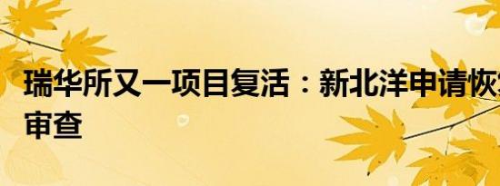 瑞华所又一项目复活：新北洋申请恢复可转债审查