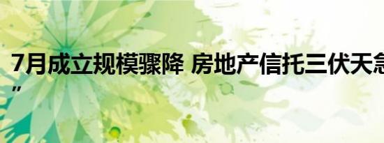 7月成立规模骤降 房地产信托三伏天急“退烧”