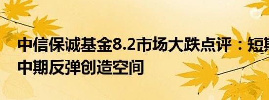 中信保诚基金8.2市场大跌点评：短期调整为中期反弹创造空间