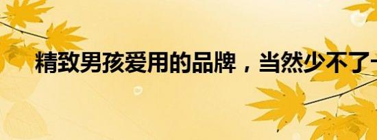 精致男孩爱用的品牌，当然少不了卡贝