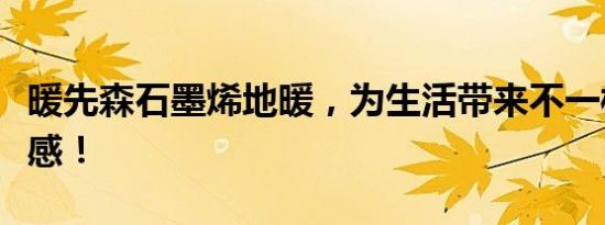 暖先森石墨烯地暖，为生活带来不一样的仪式感！
