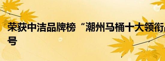 荣获中洁品牌榜“潮州马桶十大领衔品牌”称号