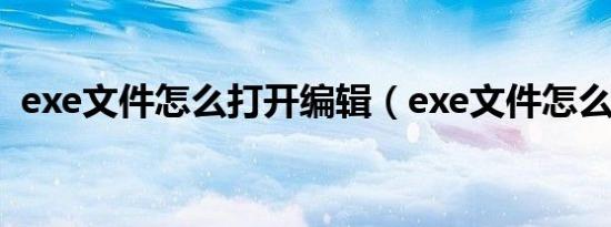 exe文件怎么打开编辑（exe文件怎么打开）