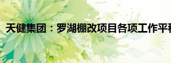 天健集团：罗湖棚改项目各项工作平稳推进