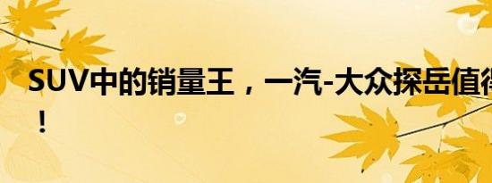SUV中的销量王，一汽-大众探岳值得你拥有！