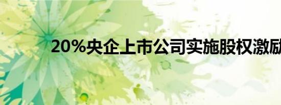 20%央企上市公司实施股权激励