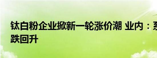钛白粉企业掀新一轮涨价潮 业内：系行业止跌回升