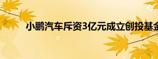 小鹏汽车斥资3亿元成立创投基金