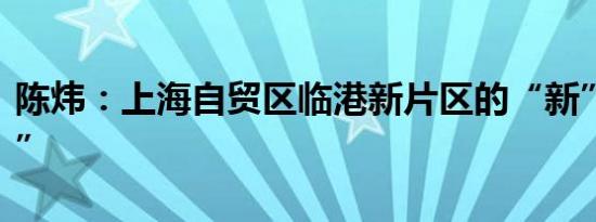 陈炜：上海自贸区临港新片区的“新”与“特”
