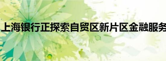 上海银行正探索自贸区新片区金融服务新模式