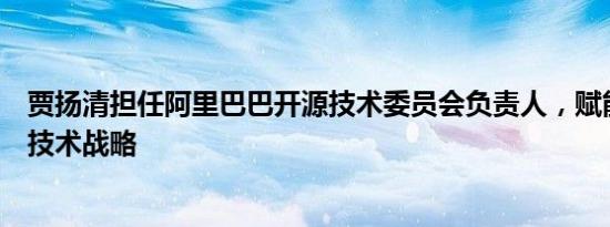 贾扬清担任阿里巴巴开源技术委员会负责人，赋能开源成为技术战略