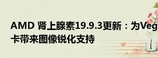 AMD 肾上腺素19.9.3更新：为Vega架构显卡带来图像锐化支持