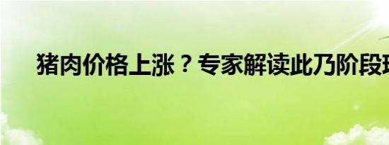 猪肉价格上涨？专家解读此乃阶段现象