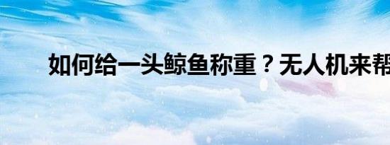 如何给一头鲸鱼称重？无人机来帮你