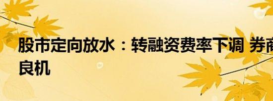 股市定向放水：转融资费率下调 券商迎加配良机