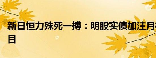 新日恒力殊死一搏：明股实债加注月桂二酸项目