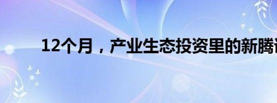 12个月，产业生态投资里的新腾讯