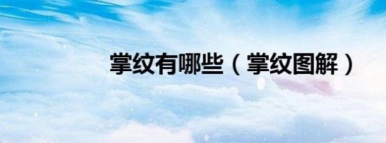 掌纹有哪些（掌纹图解）