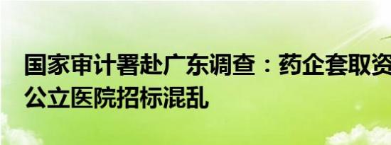 国家审计署赴广东调查：药企套取资金40亿 公立医院招标混乱