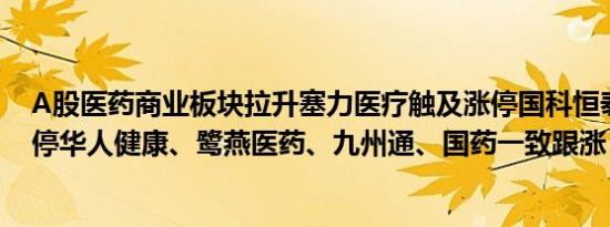 A股医药商业板块拉升塞力医疗触及涨停国科恒泰20CM涨停华人健康、鹭燕医药、九州通、国药一致跟涨