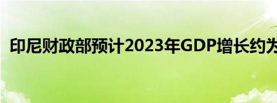 印尼财政部预计2023年GDP增长约为5.1%