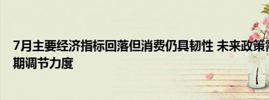 7月主要经济指标回落但消费仍具韧性 未来政策需加大逆周期调节力度